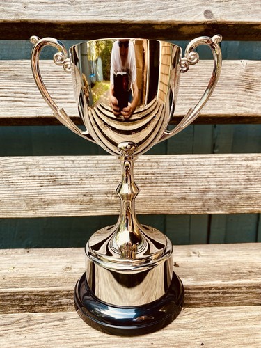 Silver trophy 8 - 🏆,