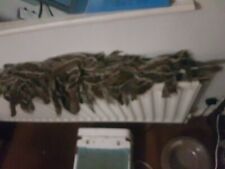 50 Grey Squirrel Tails Taxidermy Fly Tying quality Red Squirrel Conservation