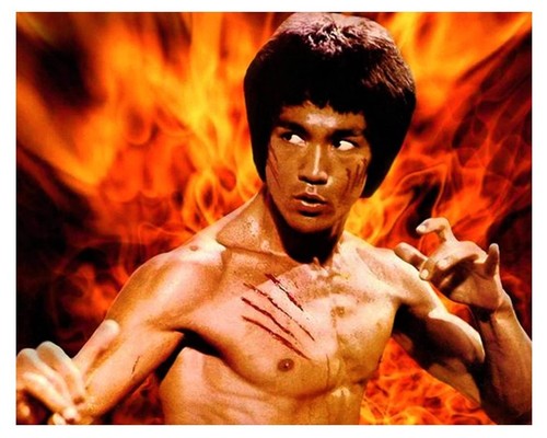 Bruce lee photo glossy - bruce,