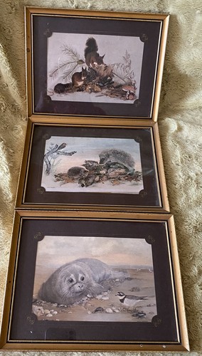 Vintage collectable framed - collectable,