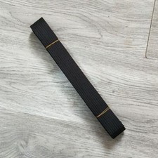 Professional Taekwondo Belt