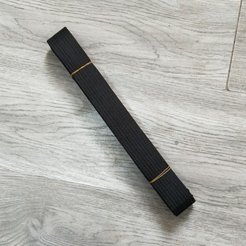 Professional taekwondo belt - taekwondo,