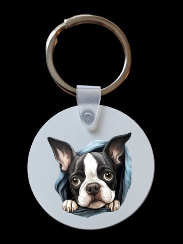 Peeking peeping boston terrier - peeking,