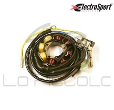V833200241 STATOR Electrosport