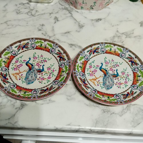 Chinese peacock decorative - peacock,