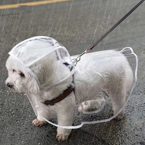 Pet raincoat transparent dog - transparent,