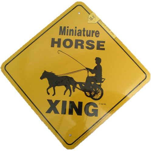 Miniature horse and cart - horse,
