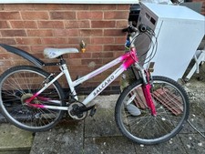 Women’s Bike Slim Frame Dirt