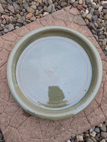Green ceramic plant - green,