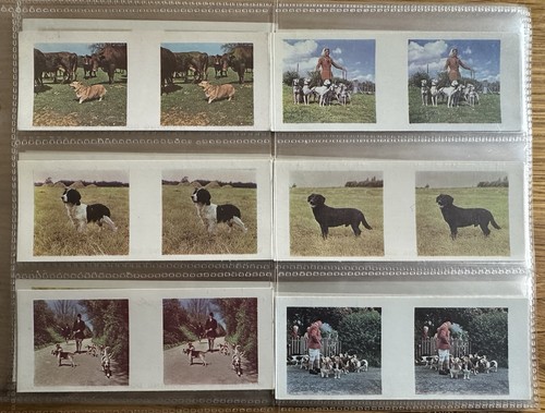 Weetabix working dogs - dogs, cards
