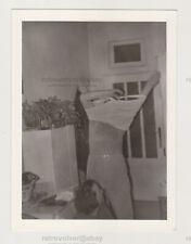 Faceless Handsome Young