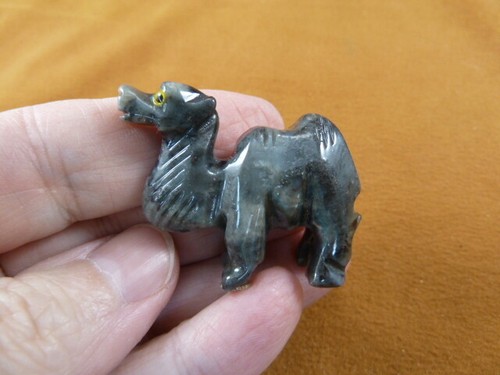 Cam gray camel camels - y-cam-30),