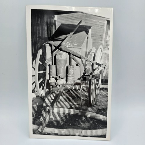 Vintage photo 1970 horse - vintage,