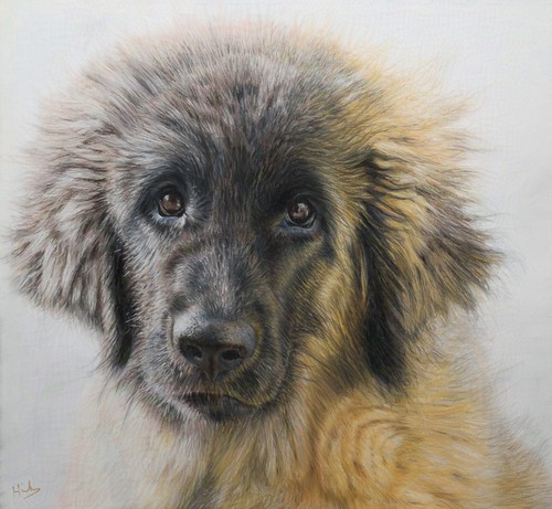 Original pet painting a - original,