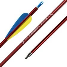 31" Aluminum Arrows Spine 550