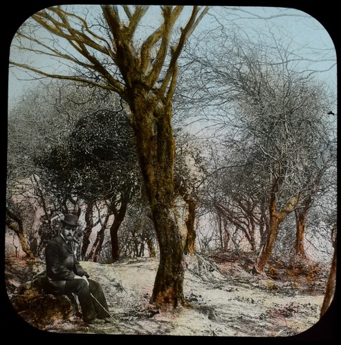 Man tree winter c1890 - by,