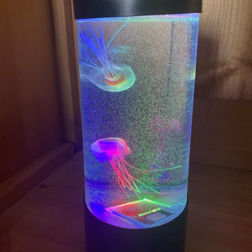 Wicked uncle jellyfish - wicked,