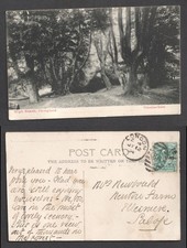 Chingford High Beach Valentines Postcard. Posted 1904 London 86 Duplex Cancel