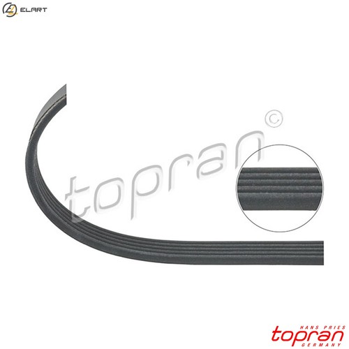 Vribbed belt 401 218 - vribbed,