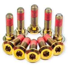 10x Kawasaki Ninja ZX10R 04-05 Bronze Titanium Front Disc Rotor Bolts Threadlock