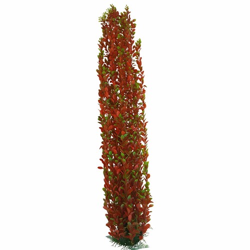 Jumbo aquarium pond - jumbo,