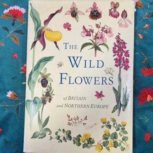 Marjorie blamey the wild - blamey,