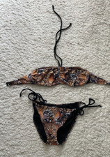 Animal Tiger Leopard Brown