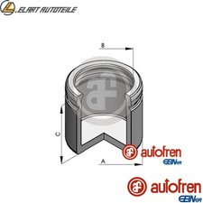 PISTON BRAKE CALIPER D025679