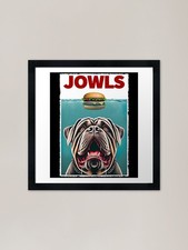 Funny Neapolitan Mastiff and