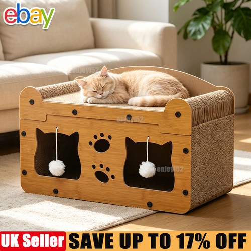 Cat scratcher house kitten - cat,