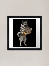 Norwegian Elkhound Playing