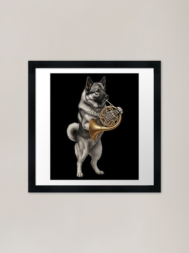 Norwegian elkhound playing - norwegian,