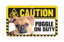 Dog sign caution beware - sign,