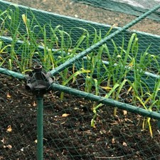 Essential Fruit Vegetable Cage