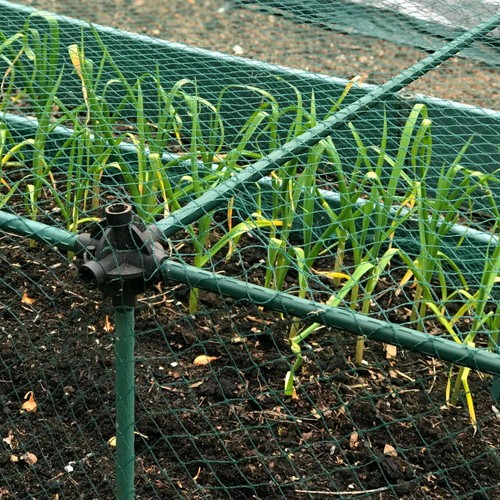 Essential fruit vegetable cage - fruit,