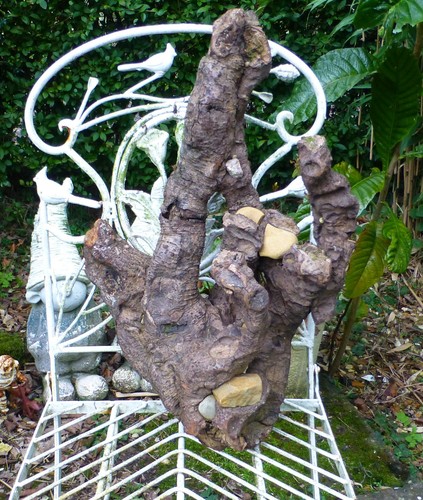 Natural driftwood tree - natural,