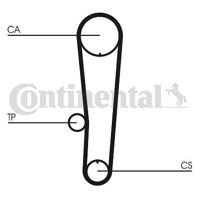 Timing belt set for - timing,