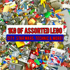 1KG LEGO BUNDLES GENUINE