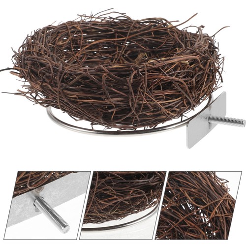 Bird breeding nest - bird,