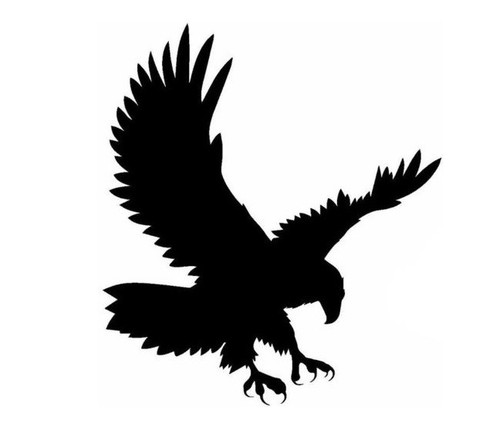 Hawk eagle attack wall - attack, art