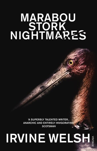 Marabou stork - marabou,