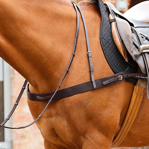 Premier equine zimella elastic - premier,