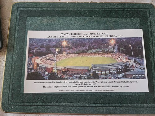 Unframed cricket print - unframed,