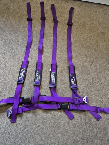 Pair purple luke racing - luke,