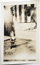 Vintage Found Photo Art Deco Era Woman Teaching Dog Named Mickey to Sit Up & Beg