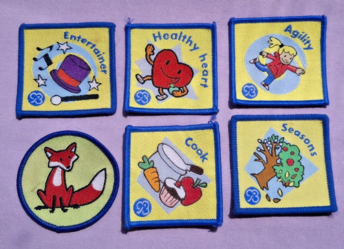 Girlguiding brownie badges - 6,