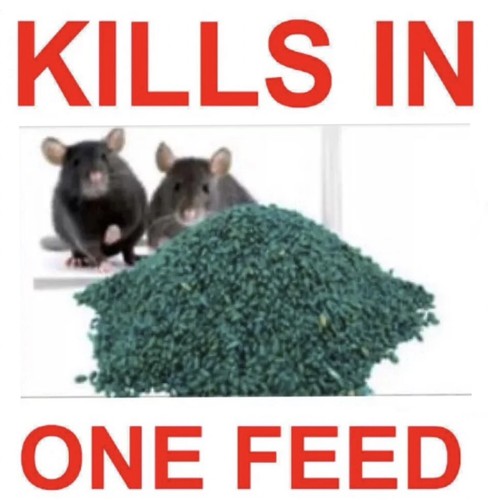 Rodent poison bait killer - bait,
