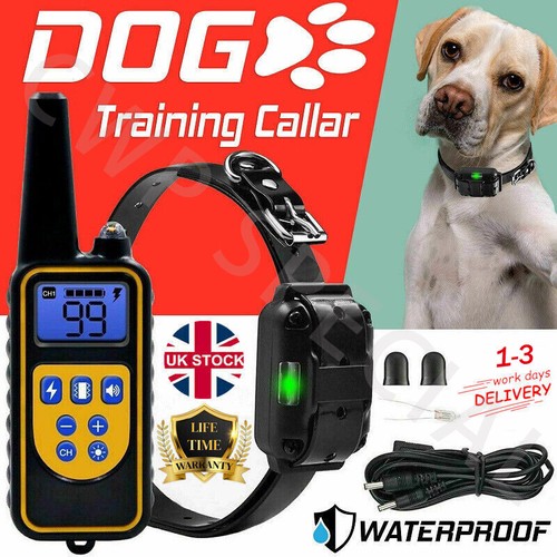 Pet dog training collar 800m - pet,