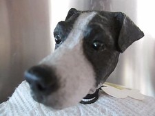 JACK RUSSELL  BLK SMOOTH COAT