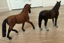 Retired Hanoverian Mare and